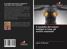 Capa do livro de Il modello dei tumori maligni in Iraq: gli archivi nazionali 