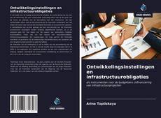 Bookcover of Ontwikkelingsinstellingen en infrastructuurobligaties