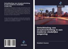 Bookcover of Ontwikkeling van straatverlichting in een moderne stedelijke omgeving