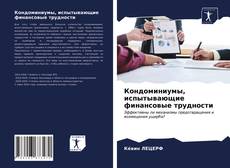 Portada del libro de Кондоминиумы, испытывающие финансовые трудности