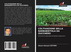 Copertina di COLTIVAZIONE DELLA BARBABIETOLA DA ZUCCHERO