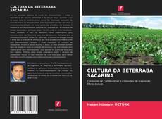 CULTURA DA BETERRABA SACARINA的封面