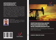 Обложка ODPOWIEDZIALNOŚĆ PRZEDSIĘBIORSTW WIELONARODOWYCH