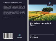 Bookcover of Het belang van fosfor in tarwe