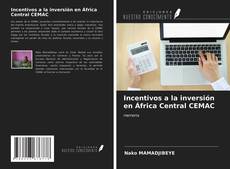 Portada del libro de Incentivos a la inversión en África Central CEMAC