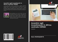 Copertina di Incentivi agli investimenti in Africa centrale CEMAC