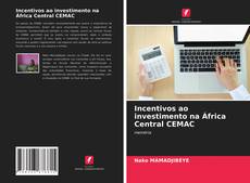 Couverture de Incentivos ao investimento na África Central CEMAC