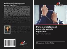 Copertina di Pene nel sistema di giustizia penale nigeriano