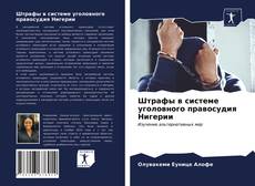 Copertina di Штрафы в системе уголовного правосудия Нигерии