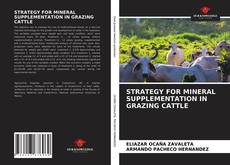 STRATEGY FOR MINERAL SUPPLEMENTATION IN GRAZING CATTLE的封面