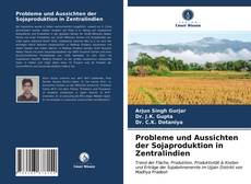 Copertina di Probleme und Aussichten der Sojaproduktion in Zentralindien