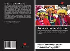 Bookcover of Social and cultural factors