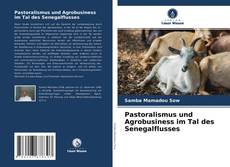 Pastoralismus und Agrobusiness im Tal des Senegalflusses kitap kapağı