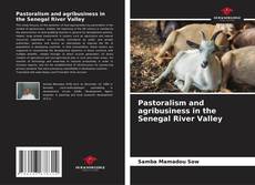 Pastoralism and agribusiness in the Senegal River Valley的封面