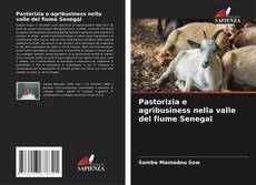 Bookcover of Pastorizia e agribusiness nella valle del fiume Senegal