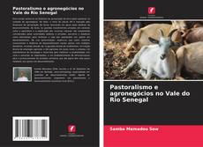 Buchcover von Pastoralismo e agronegócios no Vale do Rio Senegal