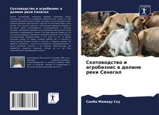 Buchcover von Скотоводство и агробизнес в долине реки Сенегал