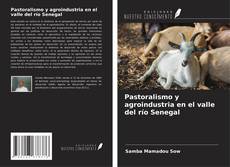 Buchcover von Pastoralismo y agroindustria en el valle del río Senegal