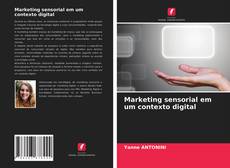 Buchcover von Marketing sensorial em um contexto digital