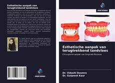 Bookcover of Esthetische aanpak van terugtrekkend tandvlees