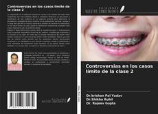 Buchcover von Controversias en los casos límite de la clase 2