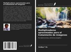 Buchcover von Multiplicadores aproximados para el tratamiento de imágenes