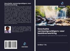 Bookcover of Geschatte vermenigvuldigers voor beeldverwerking