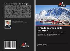 Bookcover of Il fondo sovrano della Norvegia