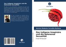 Copertina di Das indigene Imaginäre und die belenense Sexualität