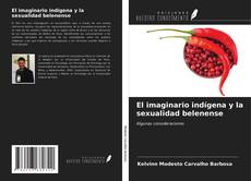 El imaginario indígena y la sexualidad belenense的封面