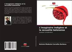 Couverture de L'imaginaire indigène et la sexualité belenense