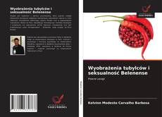 Copertina di Wyobrażenia tubylców i seksualność Belenense