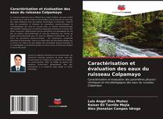 Couverture de Caractérisation et évaluation des eaux du ruisseau Colpamayo