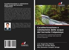 Bookcover of Caratterizzazione e valutazione delle acque del torrente Colpamayo