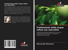Bookcover of Trattamento delle acque reflue con macrofite