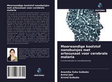 Bookcover of Meerwandige koolstof nanobuisjes met artesunaat voor cerebrale malaria