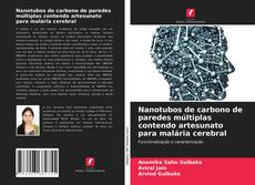 Capa do livro de Nanotubos de carbono de paredes múltiplas contendo artesunato para malária cerebral 