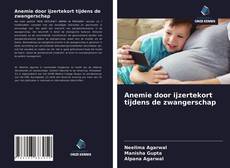 Bookcover of Anemie door ijzertekort tijdens de zwangerschap