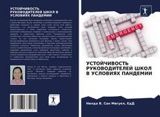 Bookcover of УСТОЙЧИВОСТЬ РУКОВОДИТЕЛЕЙ ШКОЛ В УСЛОВИЯХ ПАНДЕМИИ