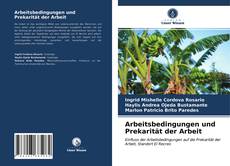 Couverture de Arbeitsbedingungen und Prekarität der Arbeit