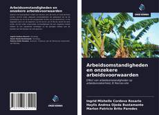 Bookcover of Arbeidsomstandigheden en onzekere arbeidsvoorwaarden