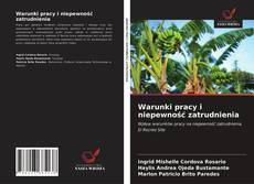 Borítókép a  Warunki pracy i niepewność zatrudnienia - hoz