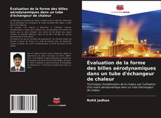 Bookcover of Évaluation de la forme des billes aérodynamiques dans un tube d'échangeur de chaleur