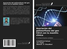Обложка Asociación del polimorfismo del gen CD14 con la mastitis clínica