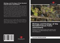 Buchcover von Biology and Ecology of the Banded Falcon Falco zoniventris