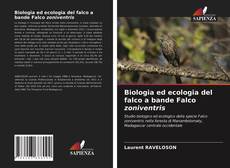 Portada del libro de Biologia ed ecologia del falco a bande Falco zoniventris