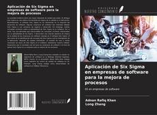 Borítókép a  Aplicación de Six Sigma en empresas de software para la mejora de procesos - hoz