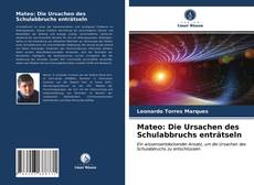 Capa do livro de Mateo: Die Ursachen des Schulabbruchs enträtseln 