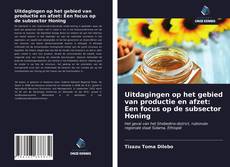 Bookcover of Uitdagingen op het gebied van productie en afzet: Een focus op de subsector Honing