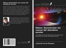 Bookcover of Mateo: Desentrañar las causas del abandono escolar